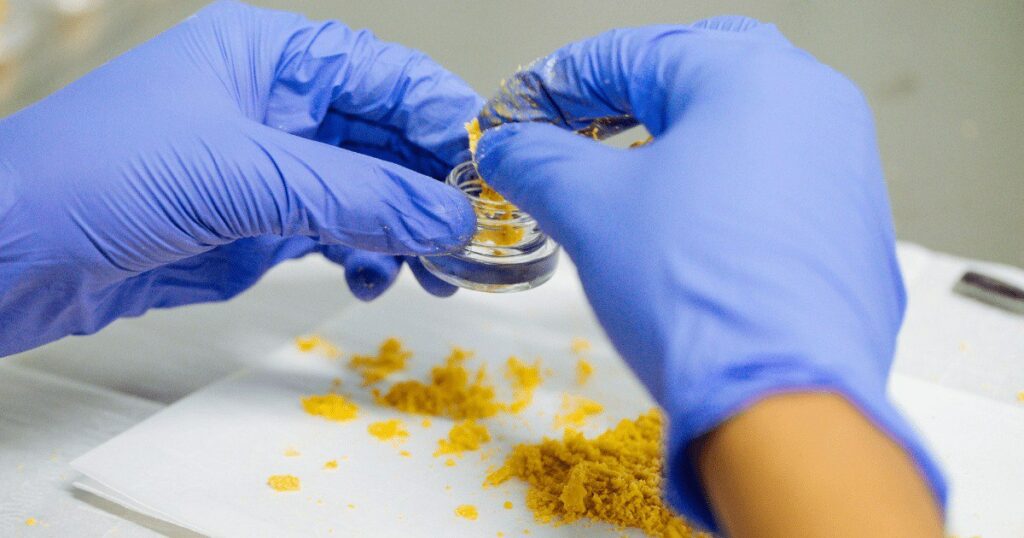 What Are The Different Types Of Cannabis Concentrates?