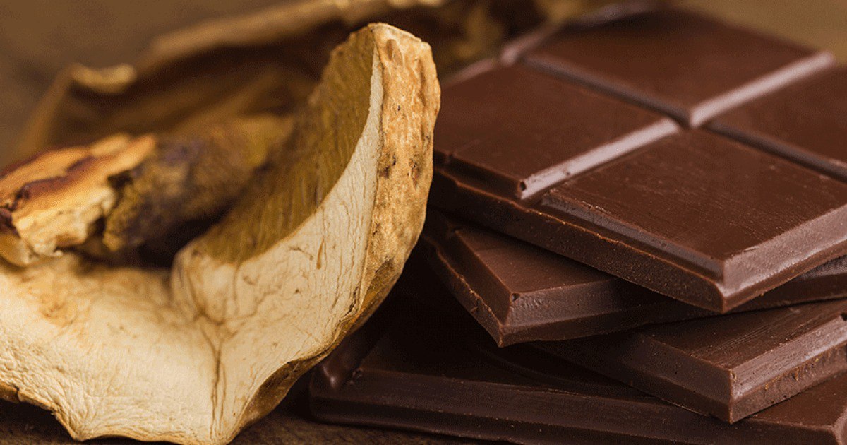 What are Shroom Chocolates?
